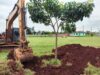 Secretaria realiza remanejamento de árvores para dar início à construção de nova praça esportiva