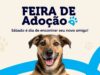 Canil Municipal de Santa Helena realiza feira de adoção neste sábado (29)