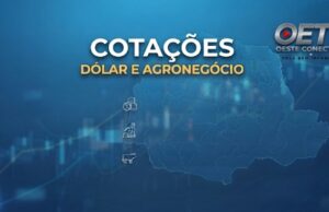 Veja a cotação do dólar e grãos desta sexta (02)