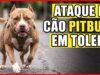 Ataque de pitbull deixa pedestre ferido com suspeita de fratura no braço em Toledo