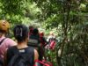 Trilha Quilombo Apepu integra natureza, história e cultura na região Cataratas e Caminhos Trilha Quilombo Apepu
