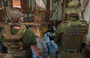 Ação integrada apreende 708 kg de maconha e duas armas em chácara de Toledo