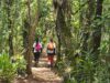 Parque Nacional do Iguaçu recebe congresso Pan-Americano de Trilhas Pan-Americano de Trilhas