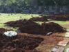 Sem vagas em cemitérios, seis corpos aguardam sepultamento em câmaras frias em Foz do Iguaçu