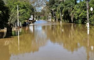 Nível do Rio Negro estabiliza em 8 metros e deixa mais de 50 famílias desabrigadas em SC e PR