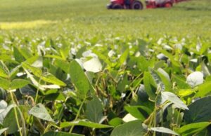 Paraná projeta safra de verão recorde com 27 milhões de toneladas