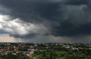 Tornado destrói plantação de eucaliptos e causa estragos em Espigão Alto do Iguaçu