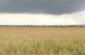 El Niño aumenta risco de temporais, enxurradas e cheias no Paraná