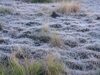 Paraná amanhece com geada e temperaturas abaixo dos 5°C a menos de uma semana da primavera