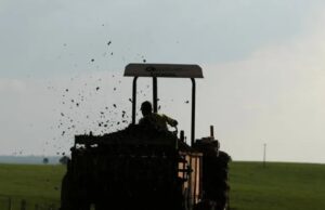 Produtores do Paraná reduzem uso de fertilizantes para cortar custos