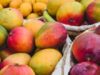 Nordeste concentra mais de 70% das exportações de frutas frescas do Brasil