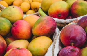 Nordeste concentra mais de 70% das exportações de frutas frescas do Brasil
