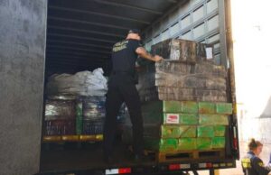 Federais incineram 10,5 toneladas de drogas apreendidas na fronteira