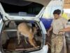 Fronteira entre Brasil, Paraguai e Argentina é alvo de operação integrada
