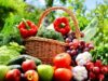 Hortaliças e frutas ficam mais baratas no atacado, aponta Conab