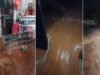 Temporal provoca alagamentos e mobiliza equipes no Oeste do Paraná