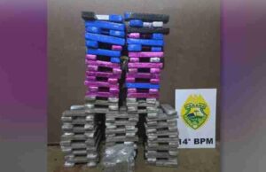 Cárcere privado termina com vítima libertada e 95 kg de maconha apreendidos em Foz