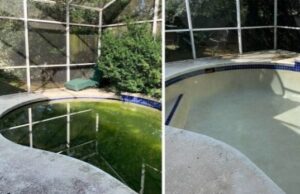 23 provas de que limpar onde você mora é importante 23 provas de que limpar onde você mora é importante