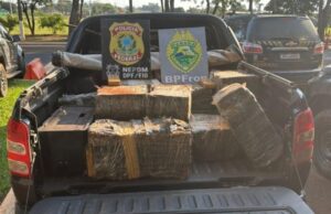 PF e PM/PR localizam 425,6 kg de maconha em Santa Helena/PR