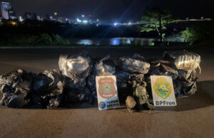 PF, PM e Exército apreendem mais de 300 kg de maconha em Foz do Iguaçu