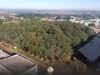 Pato Bragado realiza audiência pública sobre o Plano Municipal de Arborização Urbana