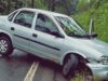 Motociclista fica ferida após bater contra árvore caída na PR-180, em Cascavel