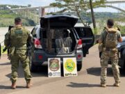 Polícia Federal intercepta maconha, anabolizantes e ampolas de tirzepatida em Foz do Iguaçu