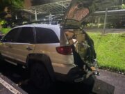Dois homens são presos após assalto a veículo com carga avaliada em R$ 500 mil em Foz do Iguaçu